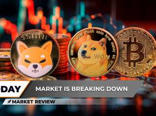 Critical Shiba Inu (SHIB) Breakdown Raises Questions, Dogecoin (DOGE) on Fundamental Support, Bitcoin (BTC) Recovery Isn't So Unrealistic