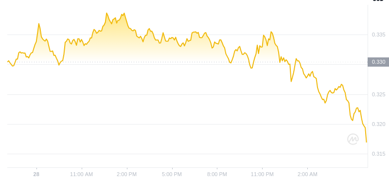 Dogecoin的最新價格在2025年1月29日06:00