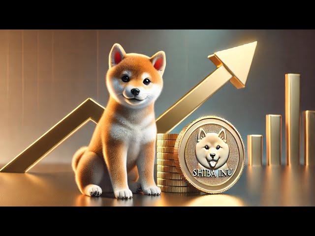 Bttc-Babydoge-Shib