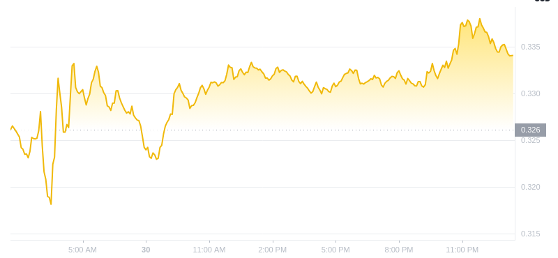 Dogecoin的最新價格，2025年1月31日，01:00