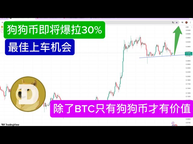 聪明钱猴哥BTC