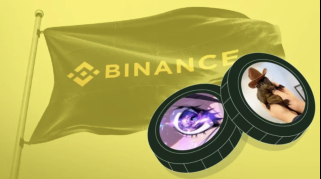 Die Binance -Liste der Panship kann diese Virusauto -Münze im Februar 20 Mal senden, während Dogecoin Crypto möglicherweise betroffen sein kann