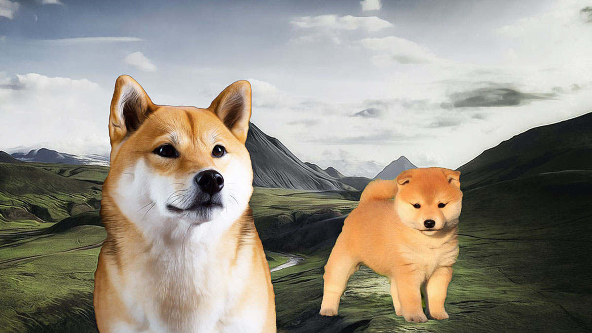 Why Are Dogecoin and Shiba Inu Prices Dropping?