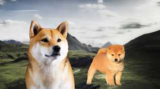 Pourquoi Dogecoin et Shiba INU tombent-ils?