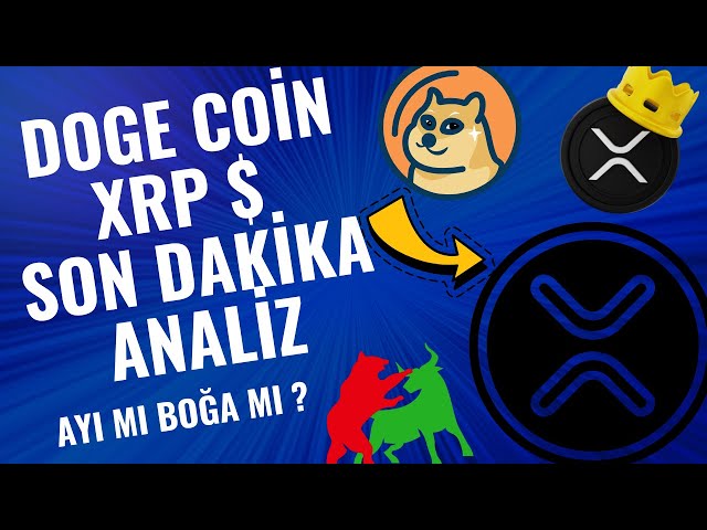 CRYPTO KİNG TR