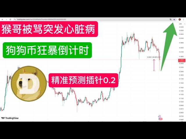 聪明钱猴哥BTC