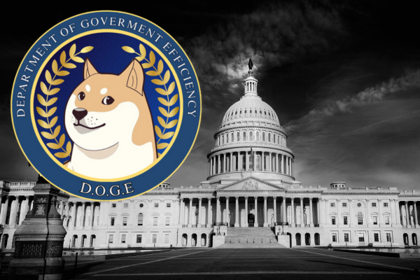 暗号通貨市場に対する政府効率（DOGE）の影響