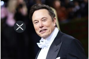 Elon Musk Turns to XRP: A Game-Changer for Ripple and XRP?