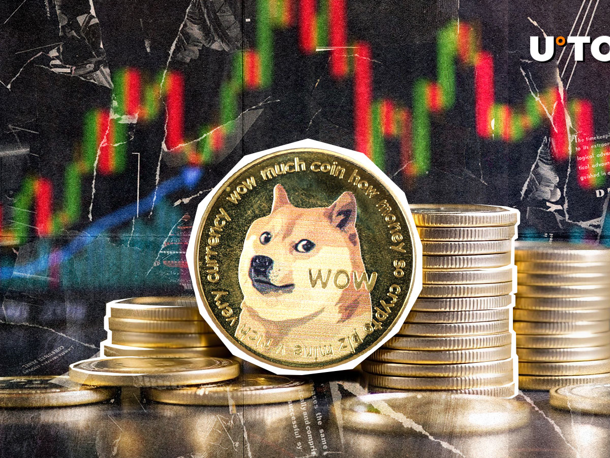 33,412,604 Dogecoin清算不平衡的Doge Doge Long Traders