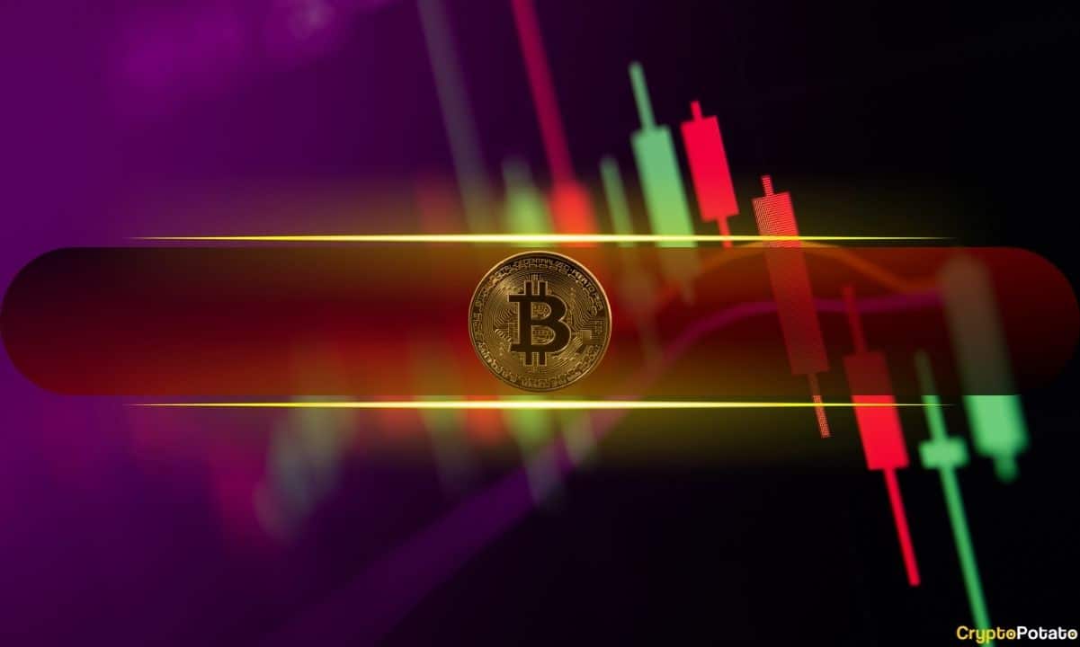 Bitcoin (BTC) Falls to $96K, Leading Altcoins Suffer Substantial Losses (Market Watch)