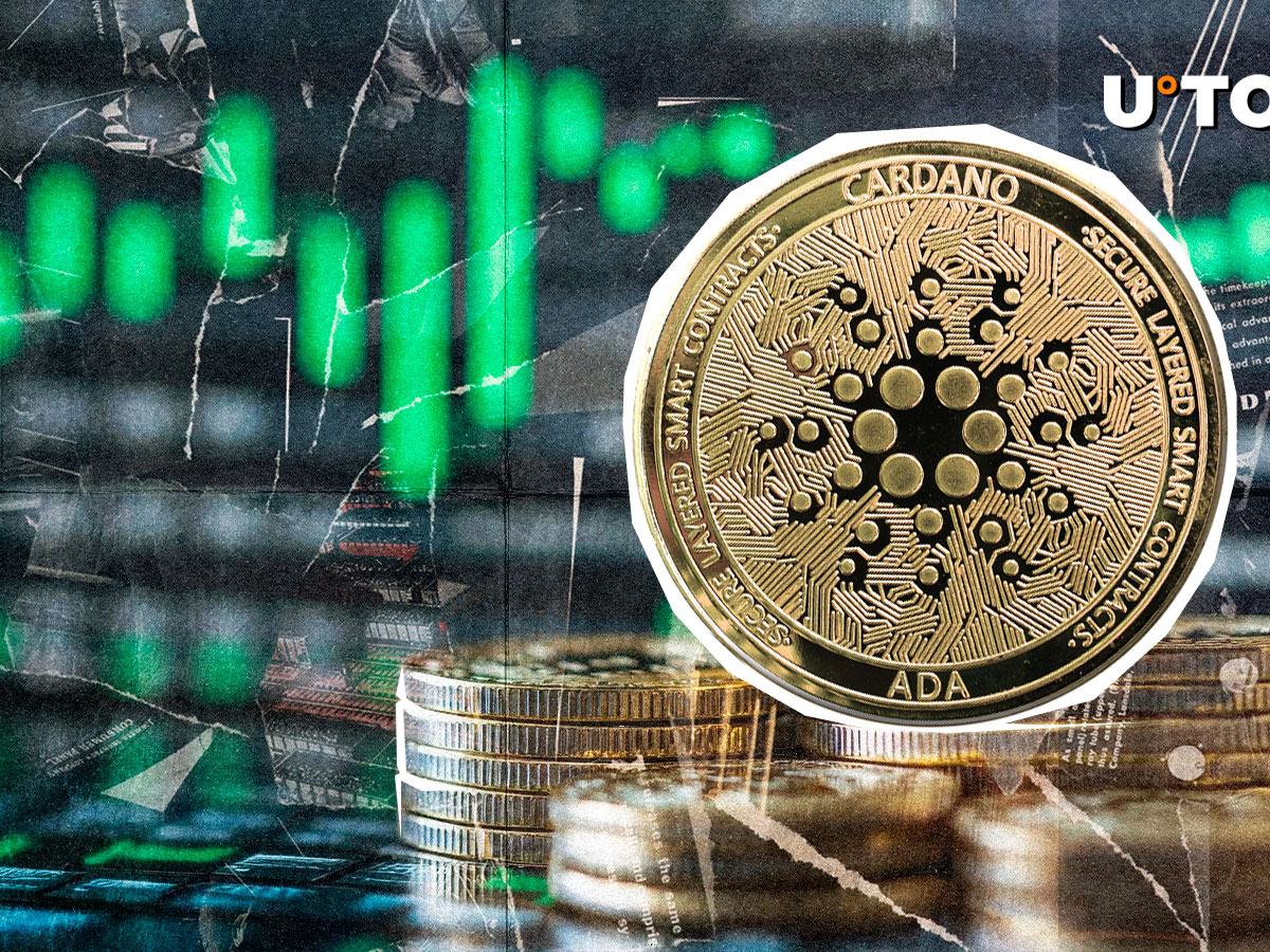 隨著ADA價格轉換為綠色，Cardano Skyrockets的數量為70％