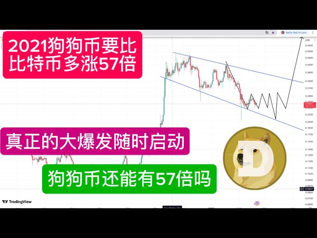 聪明钱猴哥BTC