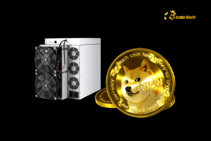 前所未有的激增：Doge采矿钻机订单在2024年爆炸了Intchains