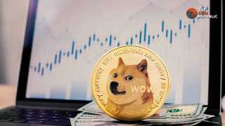 Dogecoin在“否认”中的lths  - 为什么他们仍然可以坚持下去？