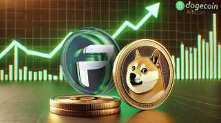 Dogecoin的价格偶然偶然