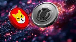 Shiba Inu、Dogecoin、Solanaが2021年に支配しています。