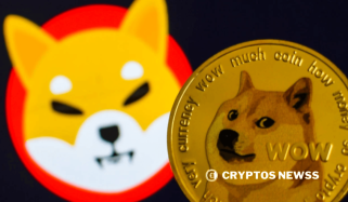 Dogecoin & Shiba INU 가격 충돌 : AI는 미래의 회복을 예측합니다.