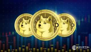 Dogecoin的长期弹性：斐波那契水平和渠道稳定性