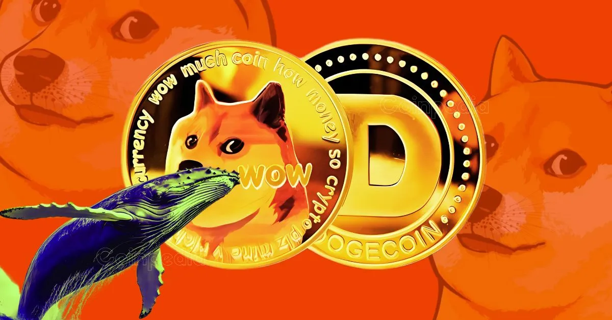 Dogecoin (Doge)은 대규모 집회를 준비합니까? 강세 패턴