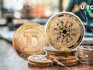 Cardano (Ada) sur le bord de Over Doge