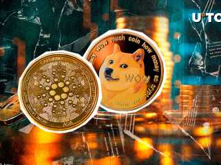 Cardano의 가장자리에 Dogecoin